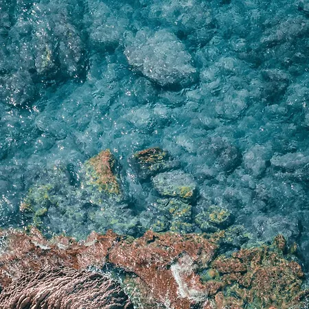 Soleil * Figari (Corsica)